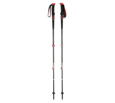Палиці трекінгові Black Diamond Trial Pro Shock