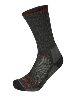 Шкарпетки Lorpen T2WE ECO