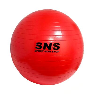 М'яч фітнес SNS 65 см червоний з насосом