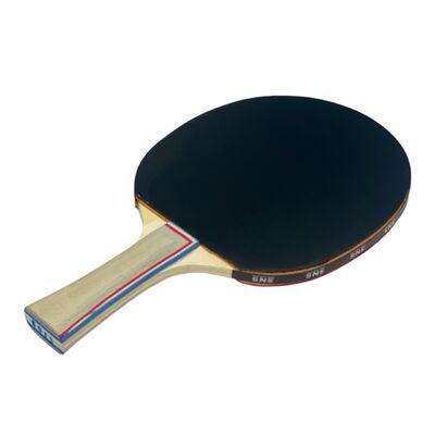 Ракетка для настільного тенісу SNS S-103