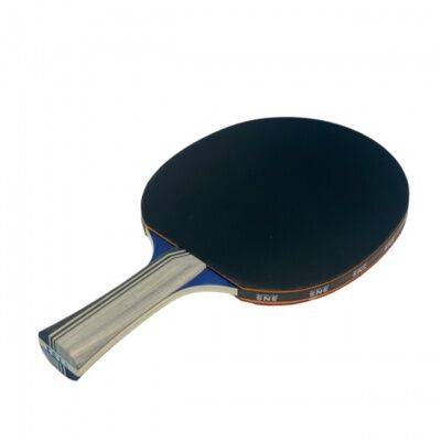 Ракетка для настільного тенісу SNS S-303