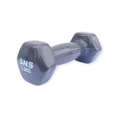 Гантель SNS 1 кг сіра